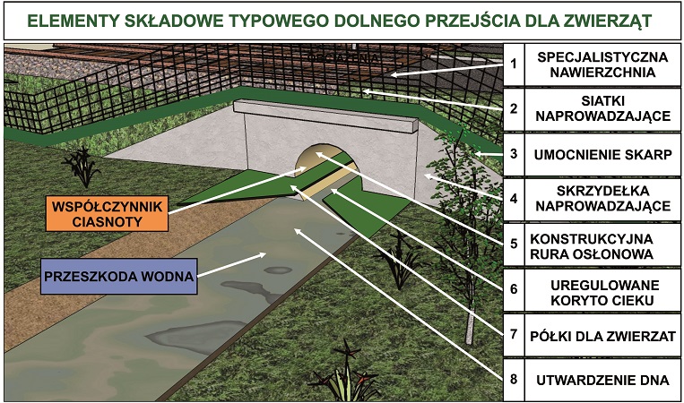 przejście dla zwierząt